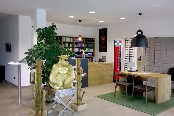 Umbau Aschach optik Strauch