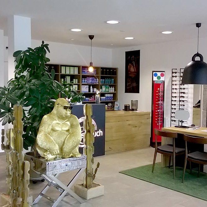 Umbau Aschach optik Strauch