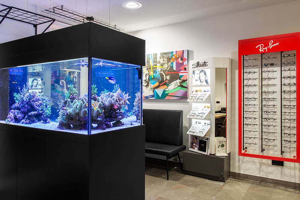 Willkommen bei OPTIK STRAUCH Aschach